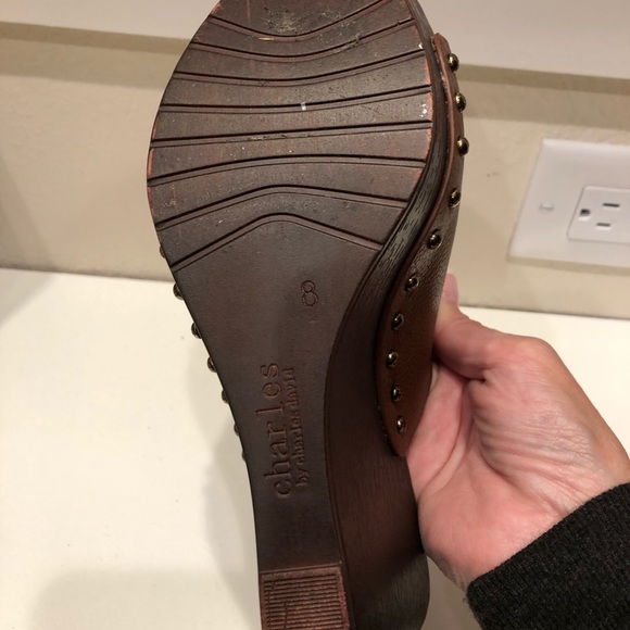 Charles and Davis slides - Picture 5 of 6